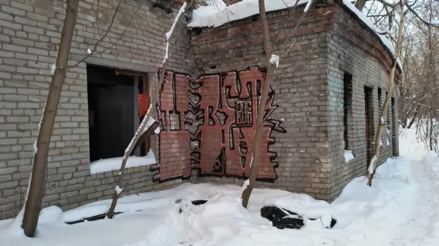 Миша Цвет, стены, 2016, 2016-2023