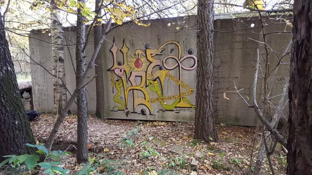Миша Цвет, стены, 2016, 2016-2023