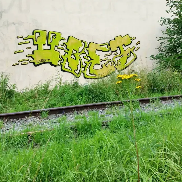 Миша Цвет, стены, 2016, 2016-2023