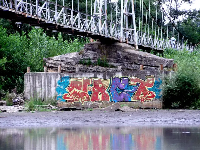 Миша Цвет, стены, 2008-2015