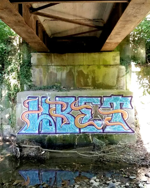 Миша Цвет, стены, 2016, 2016-2023