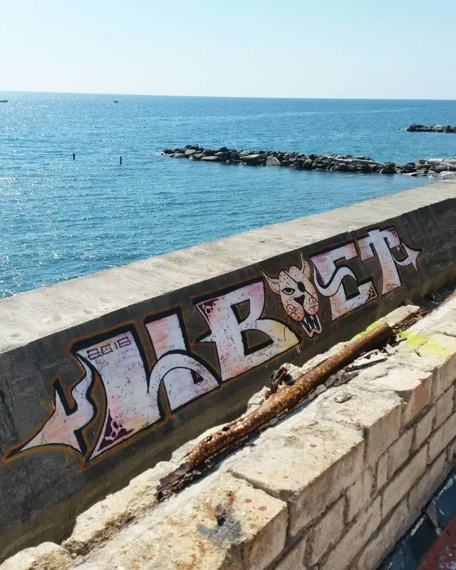 Миша Цвет, стены, 2016, 2016-2023