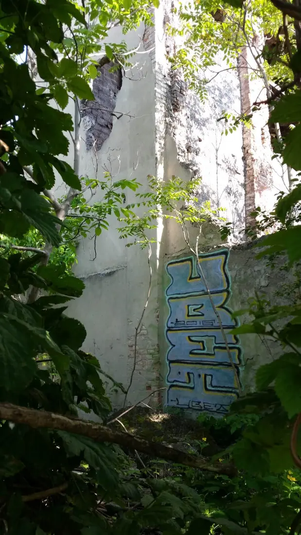 Миша Цвет, стены, 2016-2023