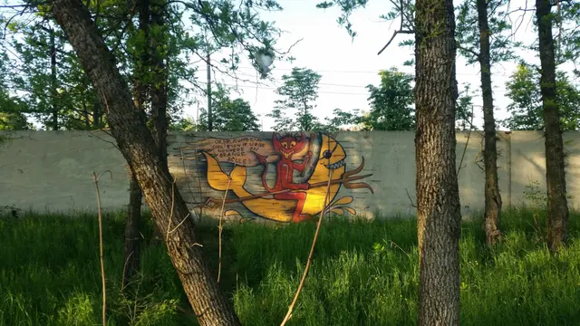 Миша Цвет, стены, 2016-2023