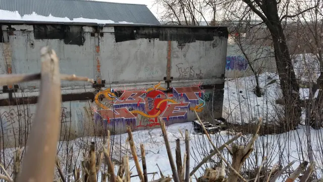 Миша Цвет, стены, 2016, 2016-2023