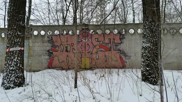 Миша Цвет, стены, 2016, 2016-2023