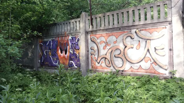 Миша Цвет, стены, 2017, 2016-2023