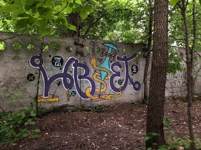 Миша Цвет, стены, 2018, 2016-2023