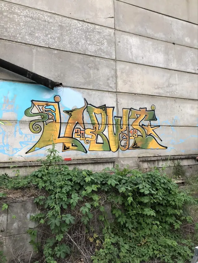 Миша Цвет, стены, 2018, 2016-2023