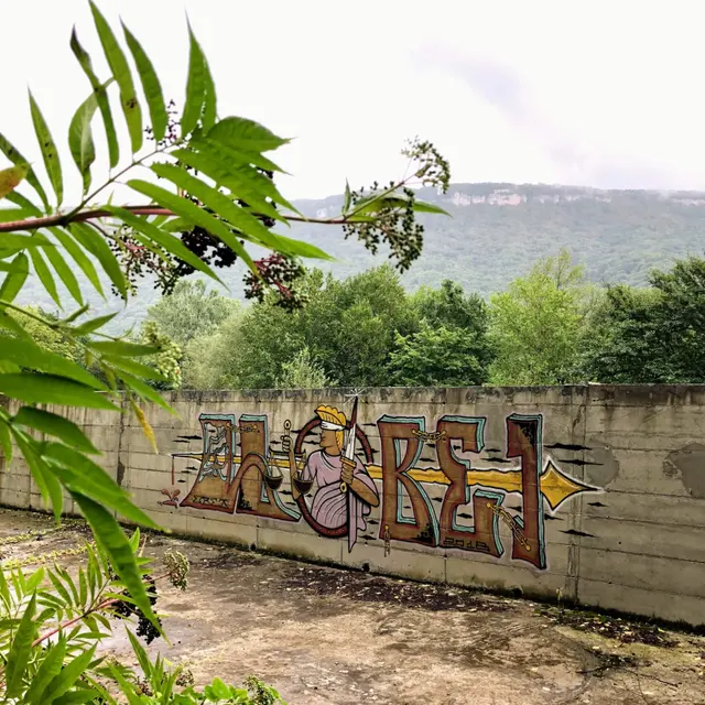 Миша Цвет, стены, 2018, 2016-2023