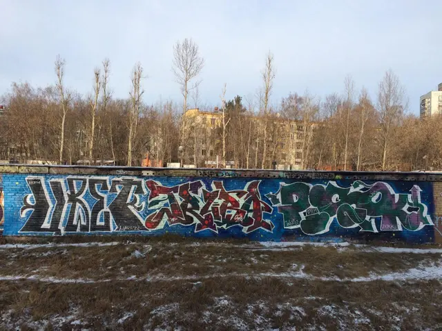 Миша Цвет, стены, 2008-2015