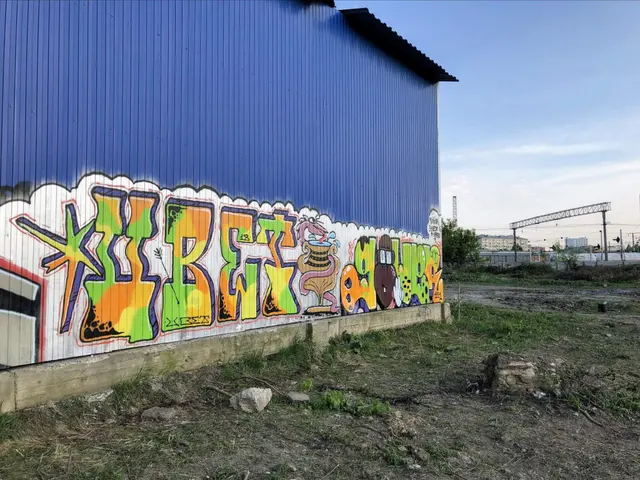 Миша Цвет, стены, 2018, 2016-2023