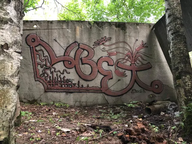 Миша Цвет, стены, 2018, 2016-2023