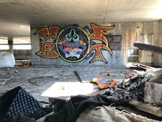 Миша Цвет, стены, 2019, 2016-2023