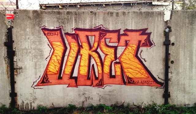 Миша Цвет, стены, 2008-2015