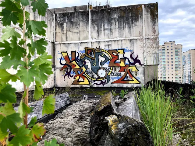 Миша Цвет, стены, 2016-2023