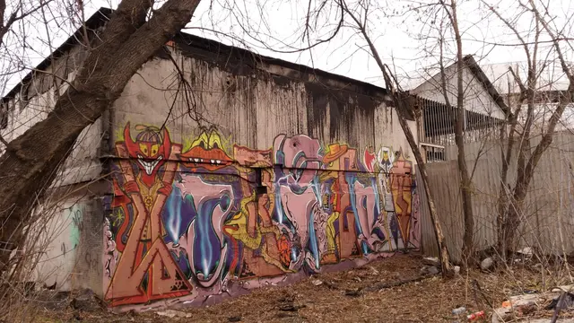 Миша Цвет, стены, 2008-2015
