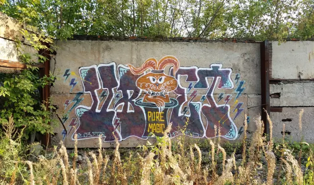 Миша Цвет, стены, 2008-2015