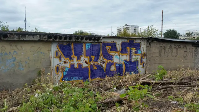 Миша Цвет, стены, 2008-2015