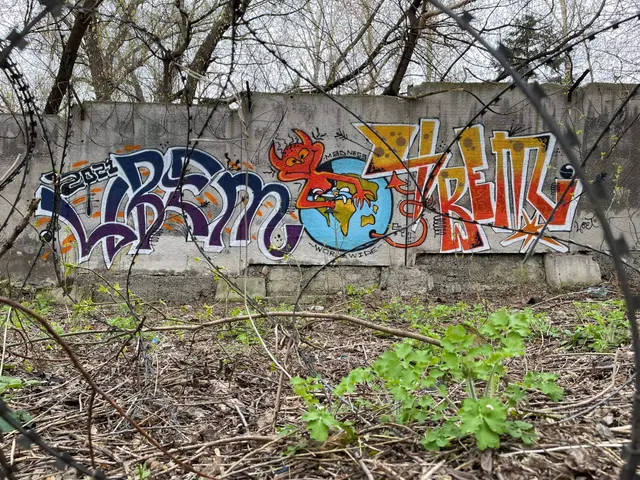 Миша Цвет, стены, 2016-2023