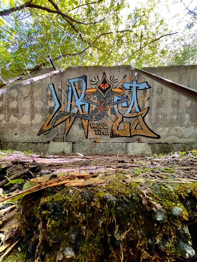 Миша Цвет, стены, 2016-2023