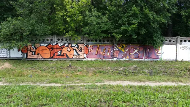 Миша Цвет, стены, 2008-2015