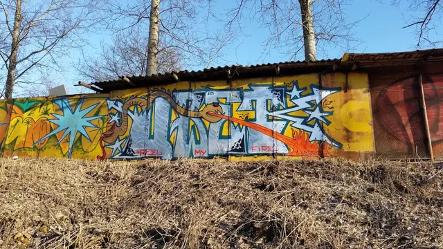 Миша Цвет, стены, 2008-2015